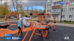 Турники, канаты, гимнастические кольца, скалодромные шары: в Щекино открылась новая площадка