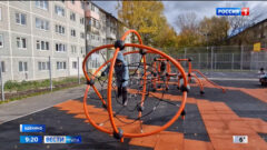 Турники, канаты, гимнастические кольца, скалодромные шары: в Щекино открылась новая площадка