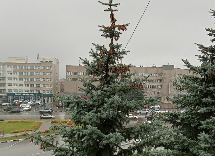 Метеоролог Александр Шувалов: дожди заканчиваться не собираются