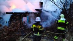 Пенсионерка погибла в огне в посёлке Брусянский