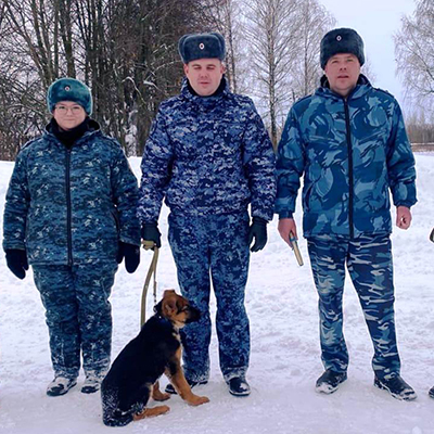 Щенки из питомника УФСИН Донского поехали на службу в Смоленск
