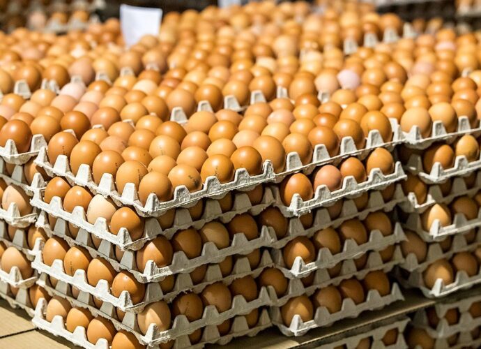 Ритейлеры ограничивают свою наценку на куриные яйца