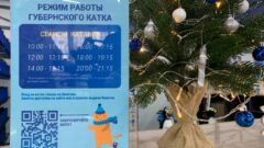 На Губернский каток будут впускать по 300 человек за сеанс На Губернский каток будут впускать по 300 человек за сеанс