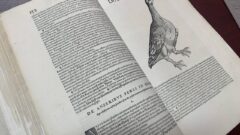 В Тулу возвращена первая в мире энциклопедия о животных