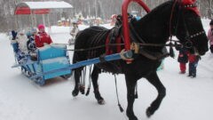 В Центральном парке открылась резиденция Деда Мороза