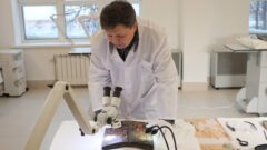 В Туле открылось фондохранилище областного музейного объединения