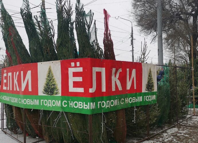 Ёлочные базары в Туле откроются 20 декабря