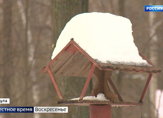 Ежегодная акция по учёту численности воробьёв стартует в России в эту субботу, 7 февраля.