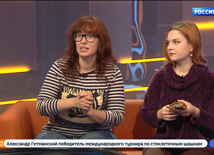 Специалисты рассказали, почему не стоит заводить себе черепаху