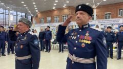Любо?: туляки могут написать «Казачий диктант» Любо?: туляки могут написать «Казачий диктант»