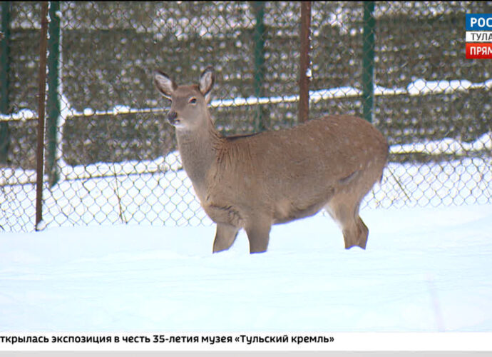 Эфир от 05.12.2023 (17:30) Россия 24