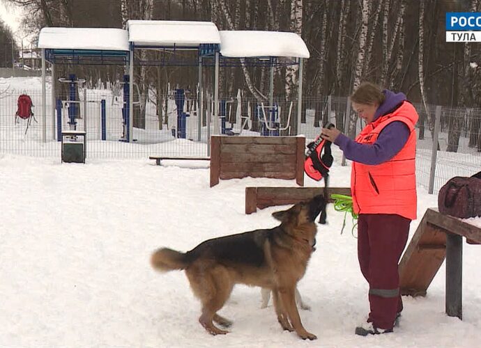 В РКФ назвали 5 тревожных сигналов, указывающих на проблемы со здоровьем собаки