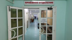 Михаил Малишевский проверил, как тульские больницы справляются с наплывом пациентов Михаил Малишевский проверил, как тульские больницы справляются с наплывом пациентов