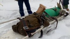 Тульские спасатели отработали навыки помощи заблудившимся лыжникам Тульские спасатели отработали навыки помощи заблудившимся лыжникам