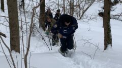 Тульские спасатели отработали навыки помощи заблудившимся лыжникам Тульские спасатели отработали навыки помощи заблудившимся лыжникам