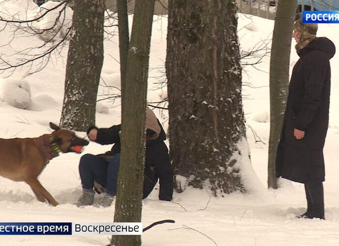 События недели. Эфир от 14.01.2024. Россия 1