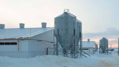 Новое сельхозпредприятие откроется в Куркино