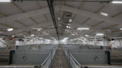 Новое сельхозпредприятие откроется в Куркино