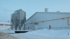 Новое сельхозпредприятие откроется в Куркино