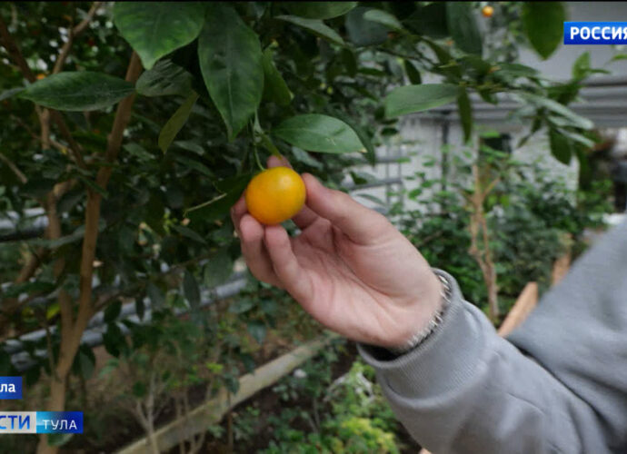 Эфир от 9.02.2024 (21:05) Россия 1