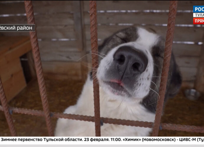Эфир от 22.02.2024 (17:30) Россия 24
