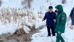 Специалисты отобрали пробы из реки Венёвки после жалоб жителей