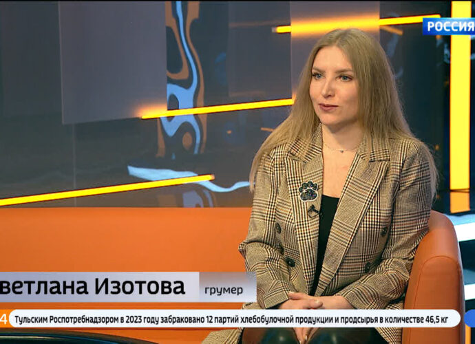 "Надеть ботинки и сделать экспресс-линьку": грумер дала советы на весну