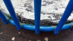 В Центральном парке Тулы исчезнет «Сказочное королевство» В Центральном парке Тулы исчезнет «Сказочное королевство»