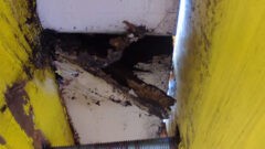 В Центральном парке Тулы исчезнет «Сказочное королевство» В Центральном парке Тулы исчезнет «Сказочное королевство»