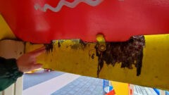 В Центральном парке Тулы исчезнет «Сказочное королевство» В Центральном парке Тулы исчезнет «Сказочное королевство»