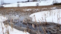 Специалисты отобрали пробы из реки Венёвки после жалоб жителей