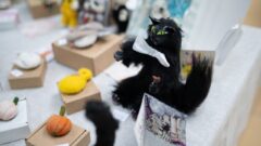 В Туле прошла весенняя ярмарка изделий самозанятых В Туле прошла весенняя ярмарка изделий самозанятых