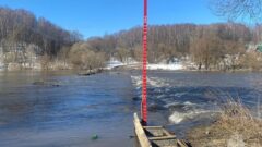 Паводок в Тульской области: подтоплено 4 моста