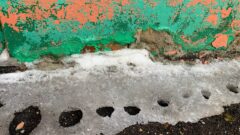 Запахло весной: на этой неделе в Тульскую область придёт тепло Запахло весной: на этой неделе в Тульскую область придёт тепло