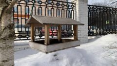 Запахло весной: на этой неделе в Тульскую область придёт тепло Запахло весной: на этой неделе в Тульскую область придёт тепло