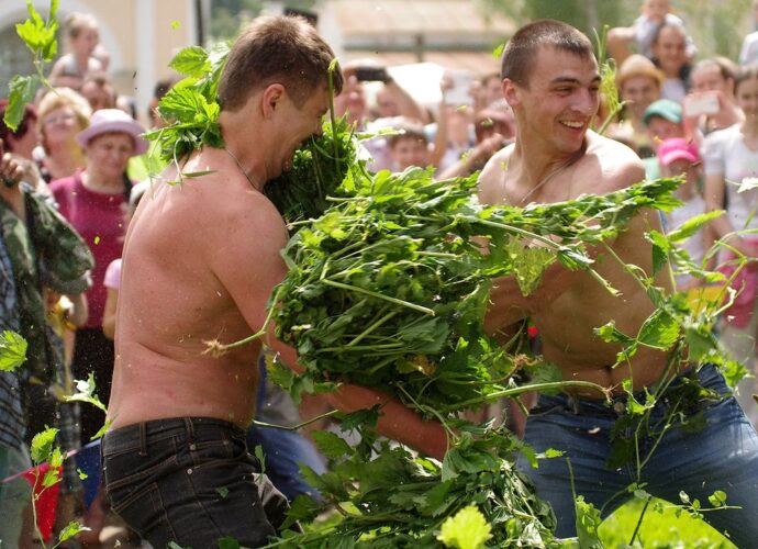 Фестиваль крапивы перенесен из-за атак беспилотников