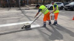В Туле обновляют дорожную разметку В Туле обновляют дорожную разметку