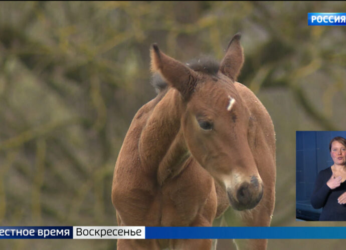 События недели. Эфир от 21.04.2024 Россия 1