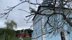 Весна в Жабынской пустыни.  Фоторепортаж
