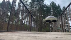 Весна в Жабынской пустыни.  Фоторепортаж