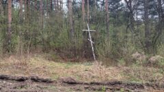 Весна в Жабынской пустыни.  Фоторепортаж