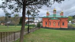 Весна в Жабынской пустыни.  Фоторепортаж