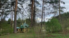 Весна в Жабынской пустыни.  Фоторепортаж