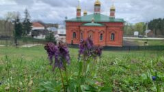 Весна в Жабынской пустыни.  Фоторепортаж