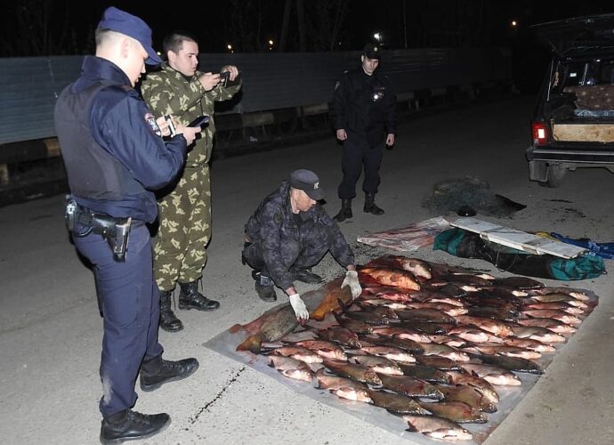 На Оке транспортные полицейские поймали браконьера