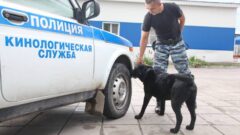 В Туле прошёл семинар полицейских-кинологов