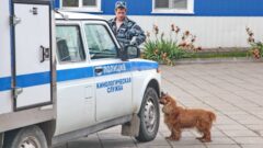 В Туле прошёл семинар полицейских-кинологов