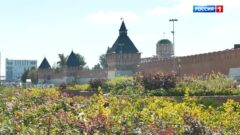 15 августа в 19:00 на Соборной площади Тульского кремля состоится показ оперы Николая Римского-Корсакова «Золотой петушок» по одноименной сказке Александра Пушкина.