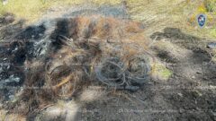 Убийство мужчины в Донском: первые подробности дела