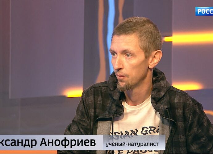 Учёный-натуралист Анофриев рассказал, как берут анализы у кита